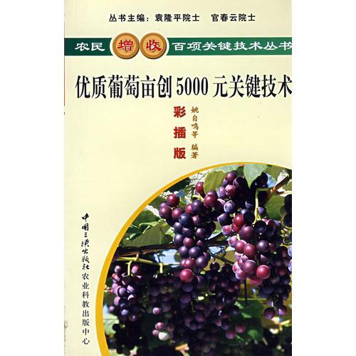 優(yōu)質(zhì)葡萄畝創(chuàng)5000元關(guān)鍵技術(shù)