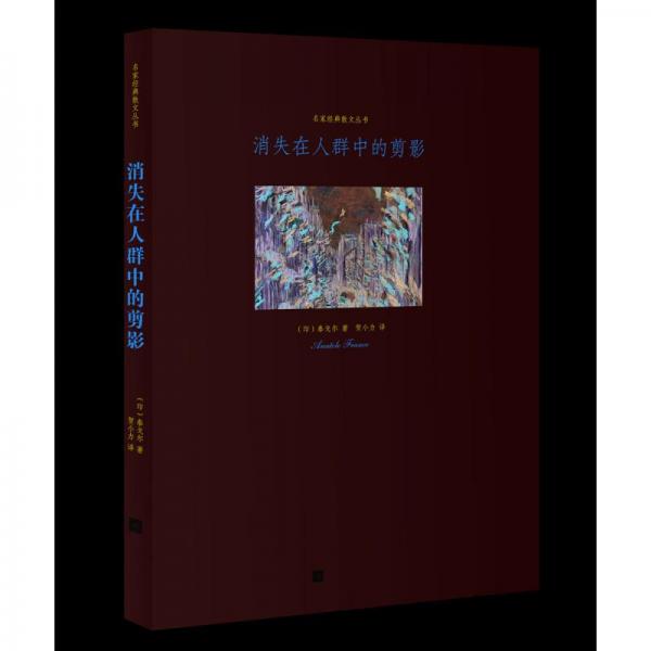 消失在人群中的剪影
