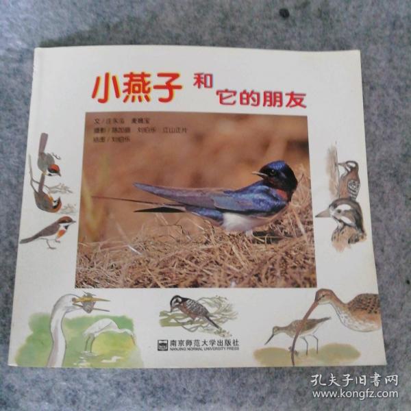 幼兒園早期閱讀資源. 幸福的種子. 中班. 下. 小燕
子和它的朋友們