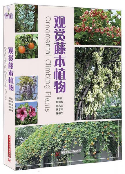 觀賞藤本植物
