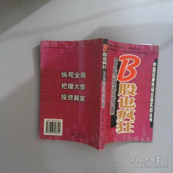 B股也瘋狂:B股投資指南