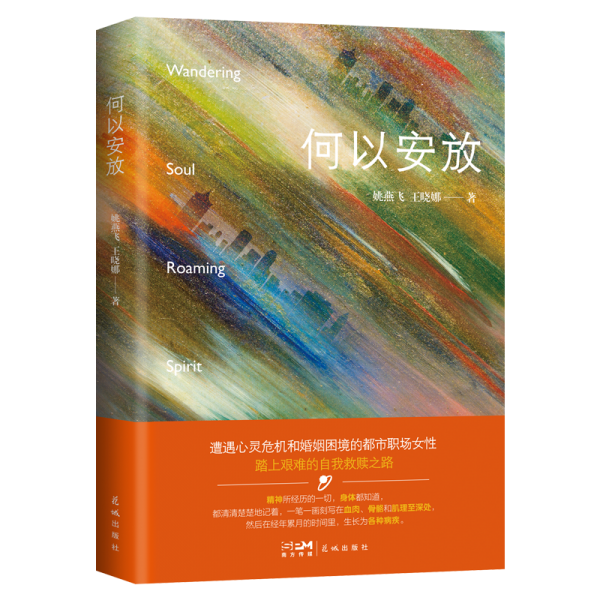 何以安放