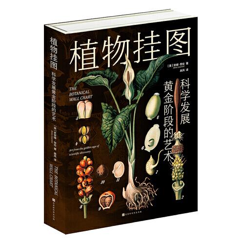 植物掛圖：科學(xué)發(fā)展黃金階段的藝術(shù)（120余幅精美掛圖，解讀多姿多彩的植物世界，精巧描繪植物生命的奧秘）