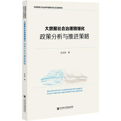 大數(shù)據(jù)社會(huì)治理精細(xì)化：政策分析與推進(jìn)策略