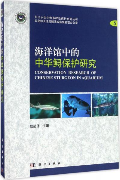 海洋馆中的中华鲟保护研究