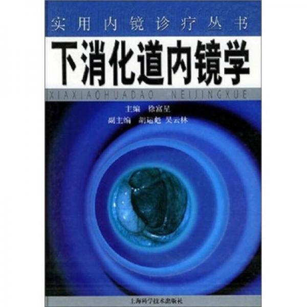 实用内镜诊疗丛书：下消化道内镜学（精）