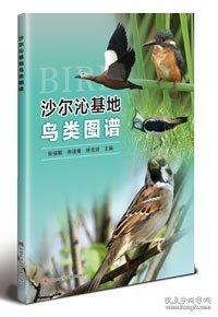 沙爾沁基地鳥類圖譜