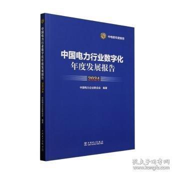 中國電力行業(yè)數(shù)字化年度發(fā)展報告:24