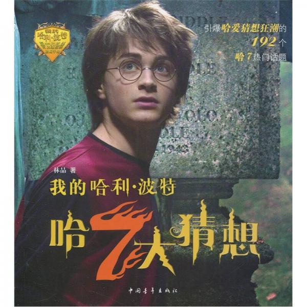 我的哈利·波特