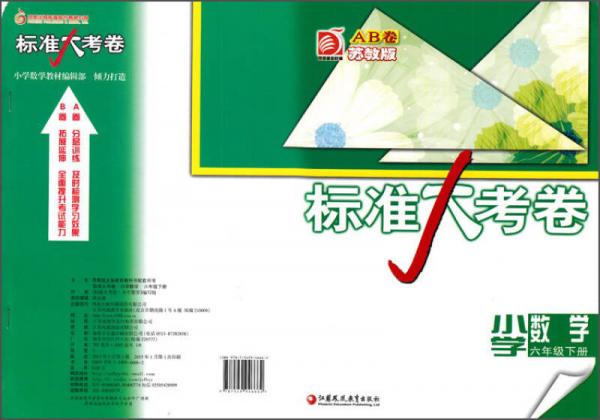 小學數(shù)學/標準大考卷