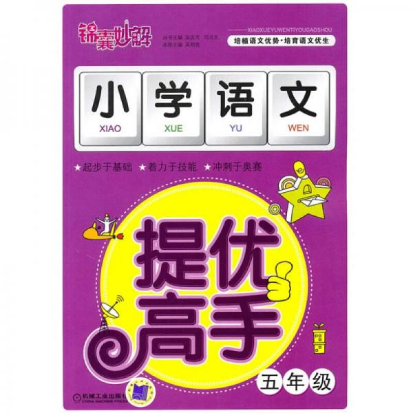 錦囊妙解小學(xué)生系列：小學(xué)語(yǔ)文提優(yōu)高手