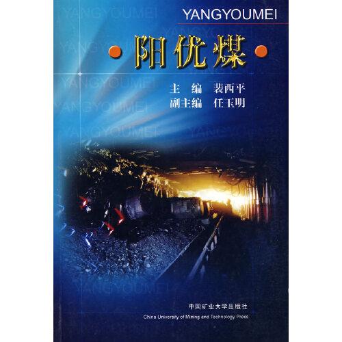 陽優(yōu)煤