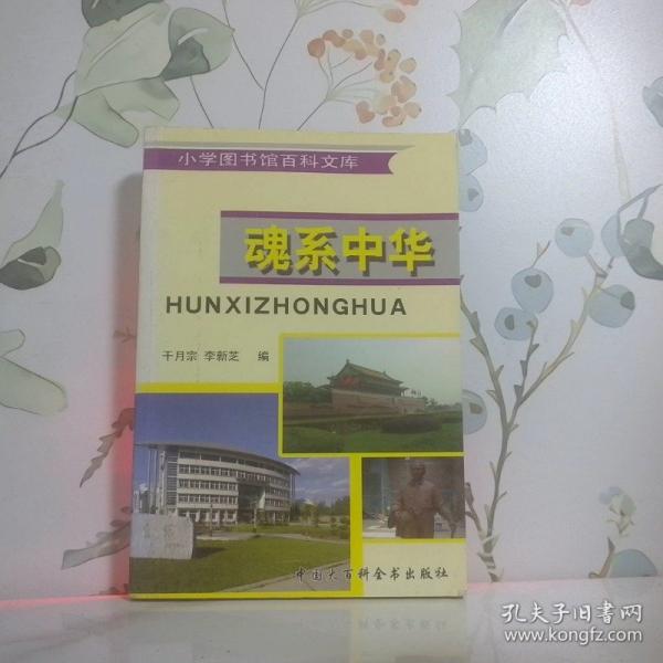 魂系中華