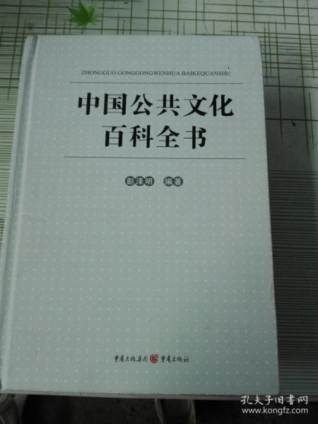 中國公共