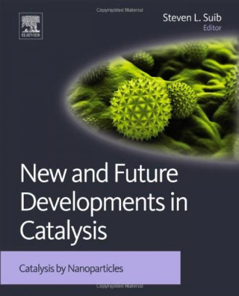 New and Future Developments in Catalysis: Catalysis by Nanoparticles 