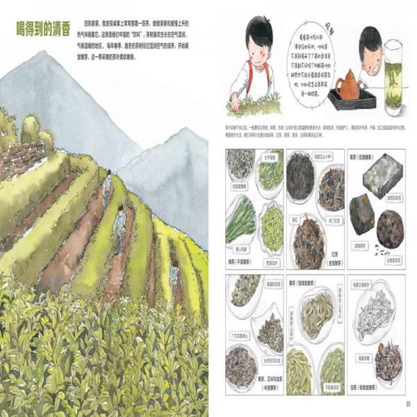 我们的大自然 给中国孩子的手绘自然百科