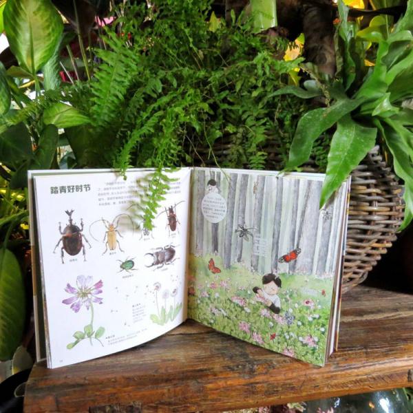 我们的大自然 给中国孩子的手绘自然百科