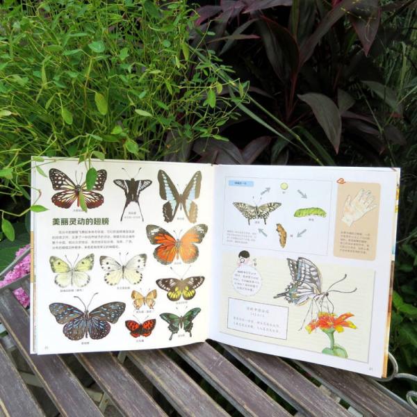 我们的大自然 给中国孩子的手绘自然百科