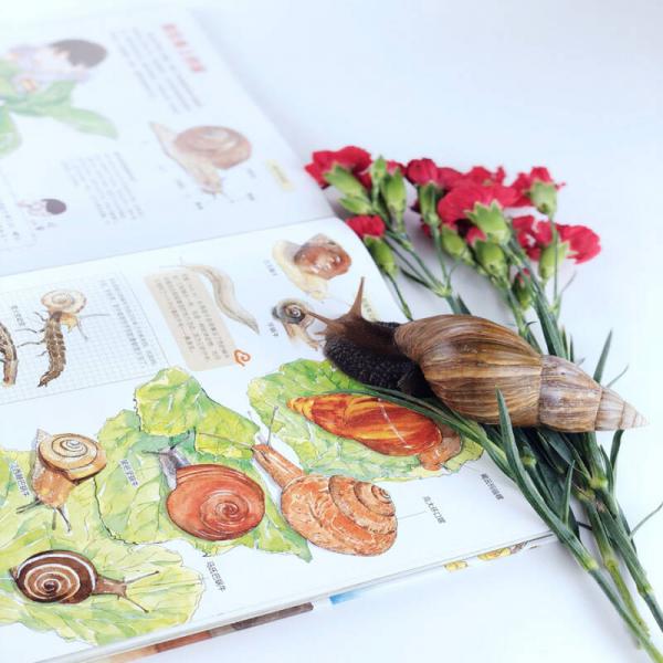 我们的大自然 给中国孩子的手绘自然百科