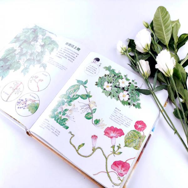 我们的大自然 给中国孩子的手绘自然百科