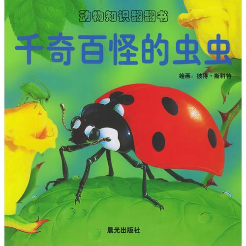 千奇百怪的蟲(chóng)蟲(chóng)（注音版）/動(dòng)物知識(shí)翻翻書(shū)
