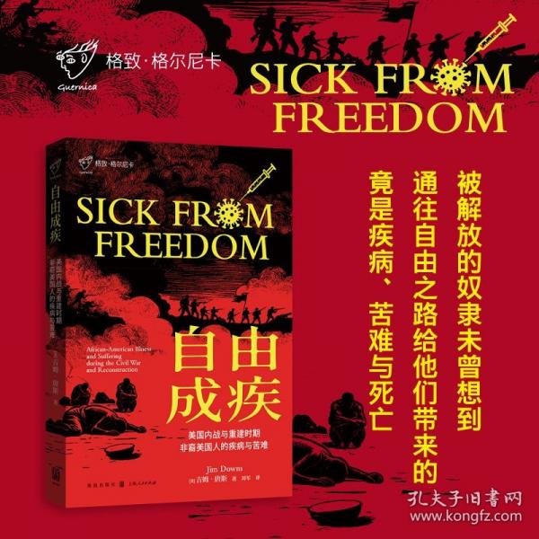 自由成疾--美国内战与重建时期非裔美国人的疾病与苦难