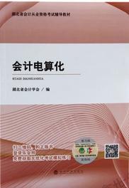 會計電算化