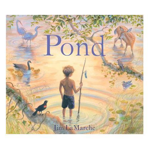 Pond