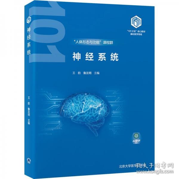 神經(jīng)系統(tǒng)