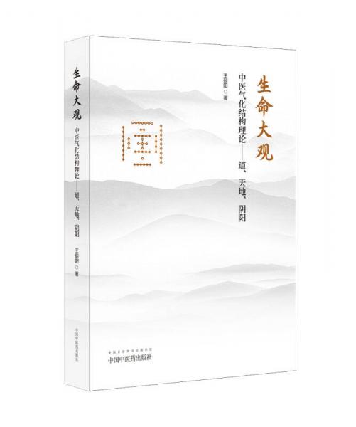 中医气化结构理论---道、天地、阴阳