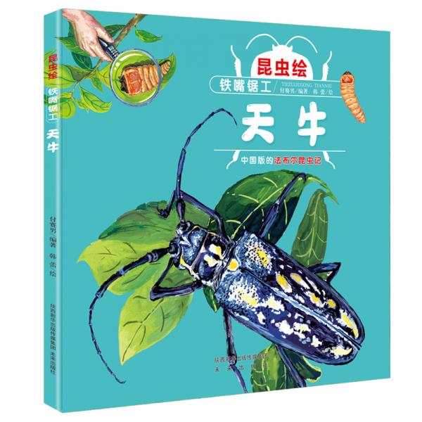 昆蟲繪:鐵嘴鋸工—天牛