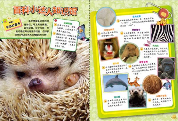 我的第1套百科全书 动物传奇