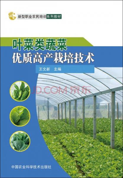 叶菜类蔬菜优质高产栽培技术