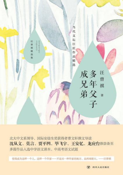 汪曾祺精选集：多年父子成兄弟