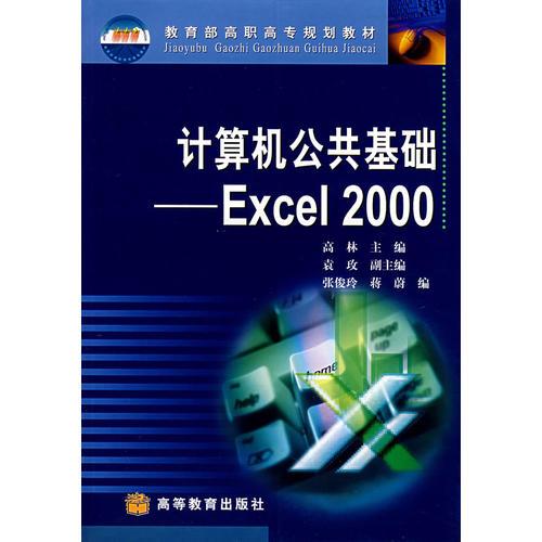 计算机公共基础:Excel 2000