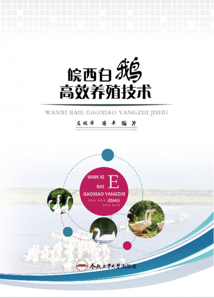 皖西白鵝高效養(yǎng)殖技術(shù)