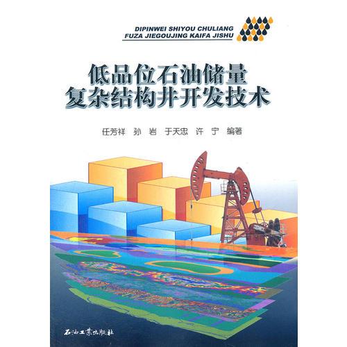 低品位石油儲(chǔ)量復(fù)雜結(jié)構(gòu)井開發(fā)技術(shù)