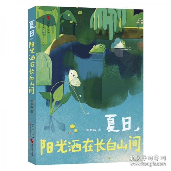 夏日，陽光灑在長白山間