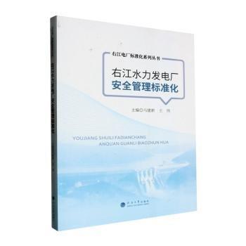 右江水力發(fā)電廠安全管理標(biāo)準(zhǔn)化/右江電廠標(biāo)準(zhǔn)化系列叢書