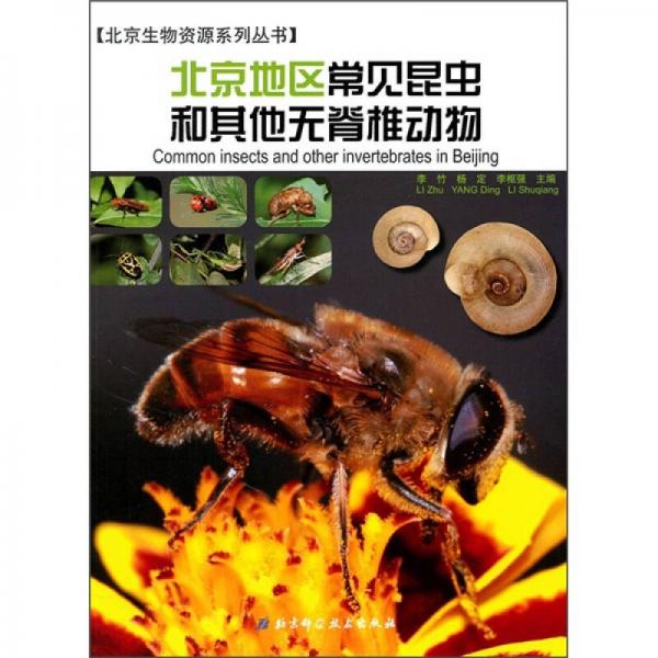 北京地区常见昆虫和其他无脊椎动物