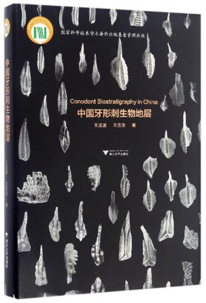 中國牙形刺生物地層