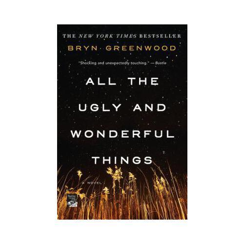 All the Ugly and Wonderful Things  A Novel