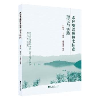 水環(huán)境治理技術標準:理論與實踐