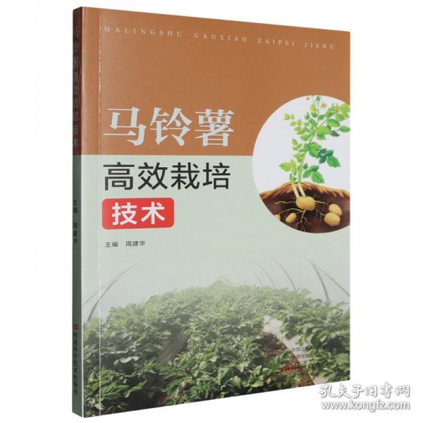 马铃薯高效栽培技术