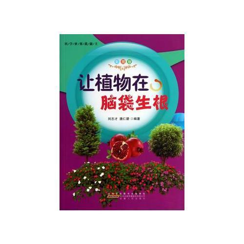 讓植物在腦袋生根
