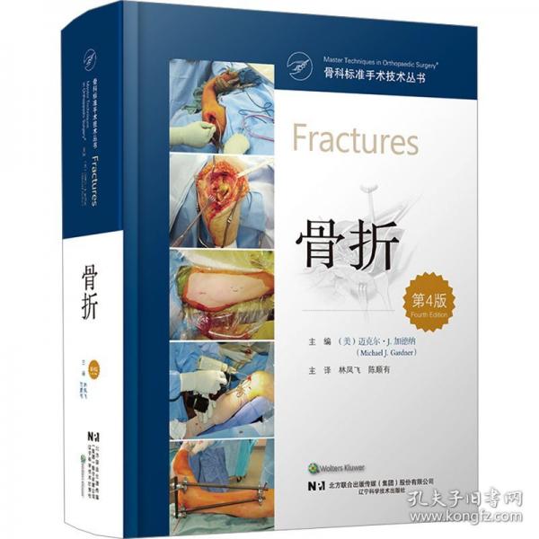骨科标准手术技术丛书：骨折