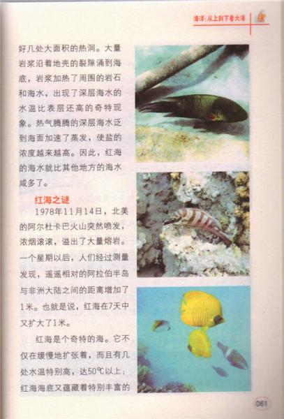 学科学魅力大探索 海洋：从上到下看大海