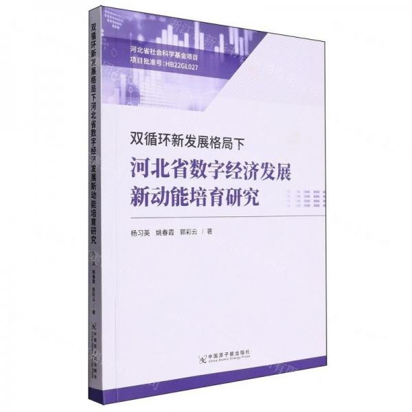 双循环新发展格局下河北省数字经济发展新动能培育研究