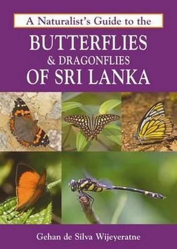 Naturalist's Guide to the Butterflies & Dragonflies of Sri Lanka