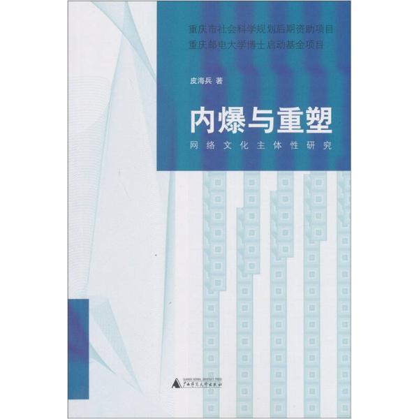 内爆与重塑：网络文化主体性研究